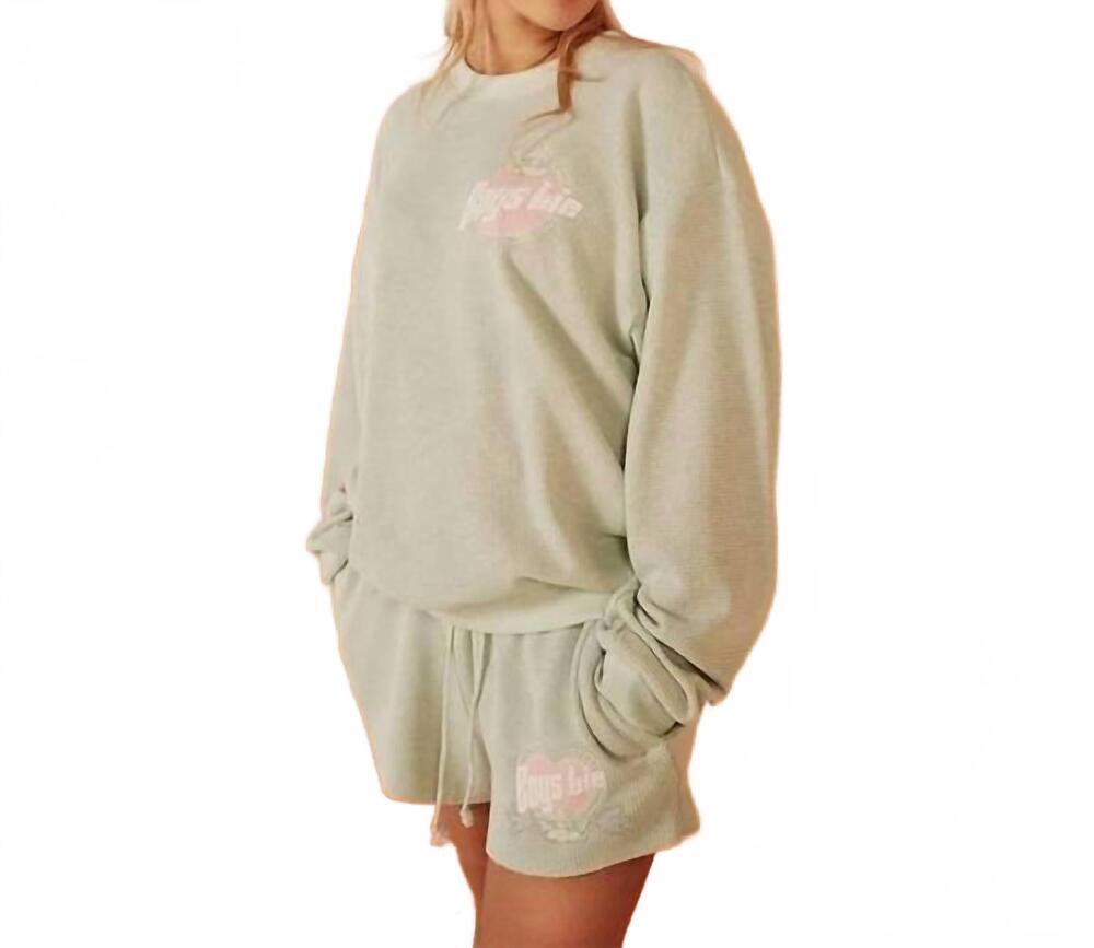 NEW BOYS LIE breakfast beers pastel kara crewneck sweater in sage